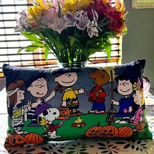 Peanuts Snoopy Charlie Brown Halloween “Trick or Treat” decorative pillow